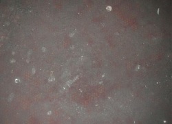 Heavily trashed carpet