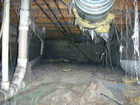 Dryer Vent
